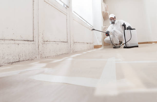 Post-remediation clearance in New Windsor